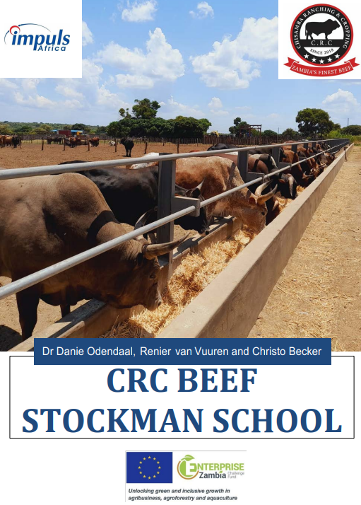 Beef Production Manual preview